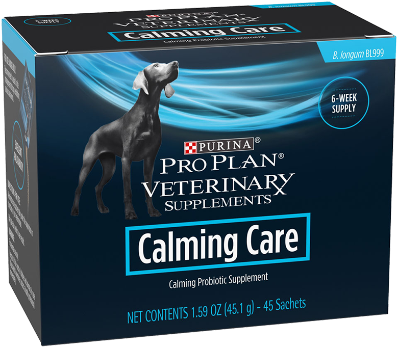 Bifidobacterium longum 2025 bl999 dog