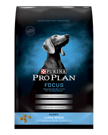 Focus pro shop plan