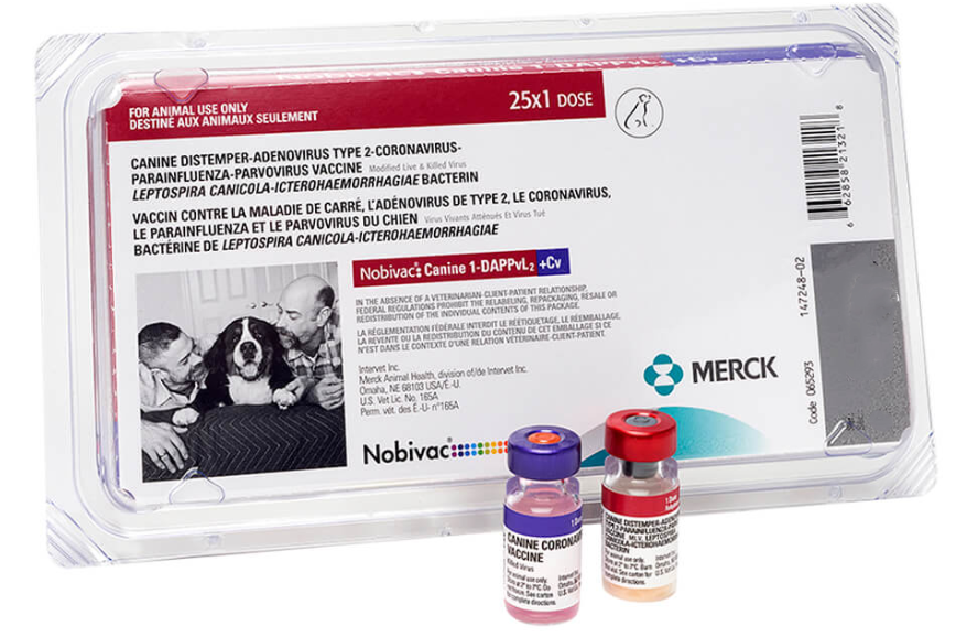 Nobivac 2024 for dogs