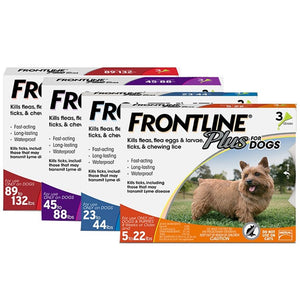 Frontline Plus for Dogs